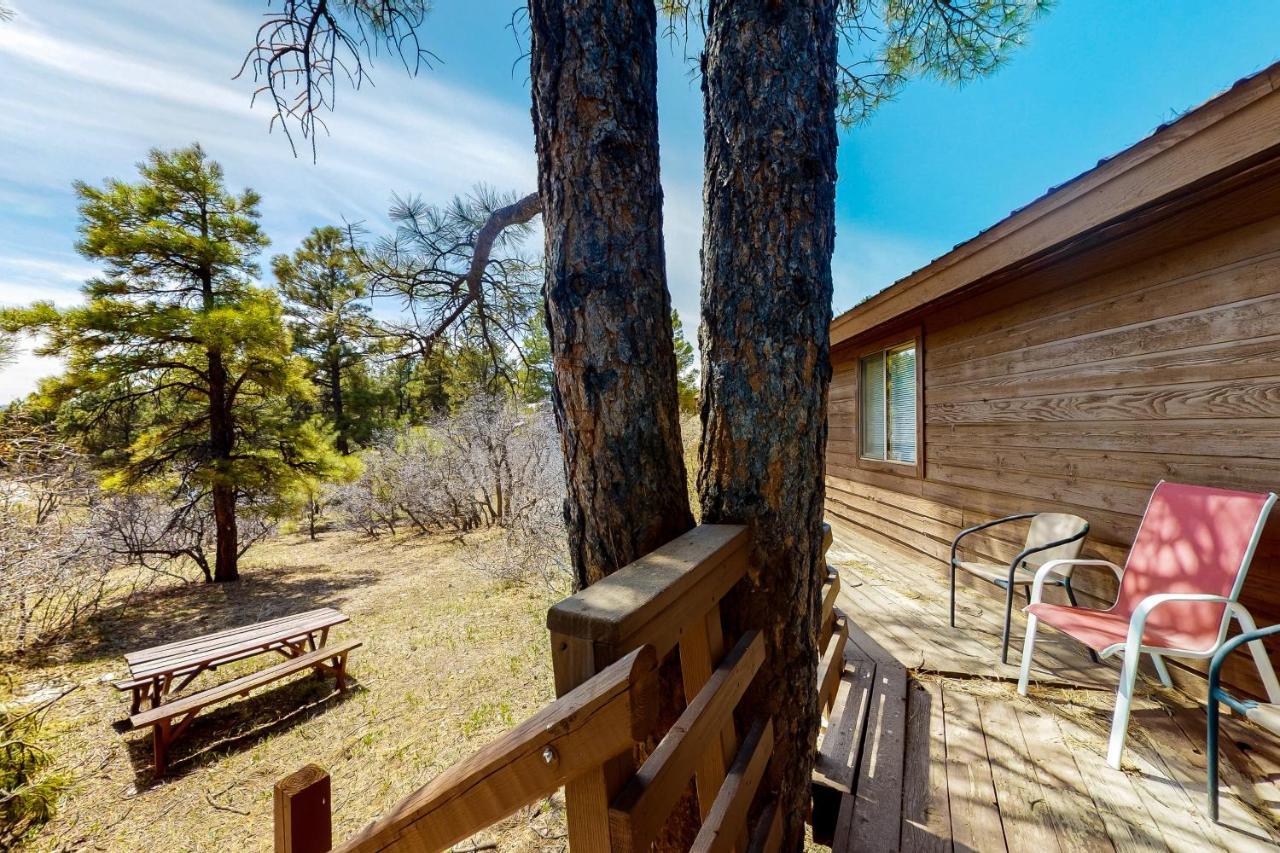 Self-Reflection Villa Pagosa Springs Exterior photo